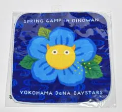 Item thumbnail for item afb03111-fb07-407f-b568-406272c48806