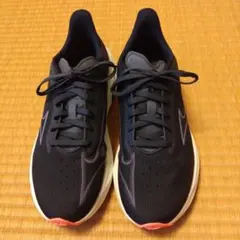 トータ様専用　ミズノ　ランニングシューズ　2足セット