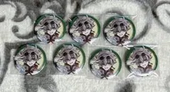 東京エイリアンズ　チャイナ　缶バッジ　郡司晃　7点セット