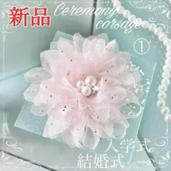 Item thumbnail for item f22f751f-a592-4f5d-9701-a2f6111b21c1