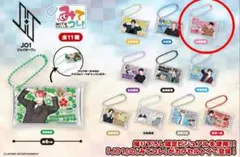 JO1 みてコレ！クリアポーチチャーム川西拓実