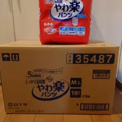 Item thumbnail for item 27b13aa8-5a11-45f4-8d01-fd898e7d6eb2