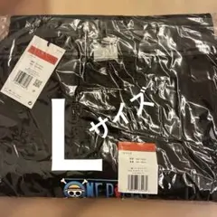 NIKE ONE PIECE Tシャツ Lサイズ 新品 ワンピース