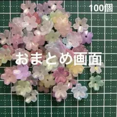 アキ(購入者のみ事前にプロ必読)様 リクエスト 2点 まとめ商品 - メルカリ