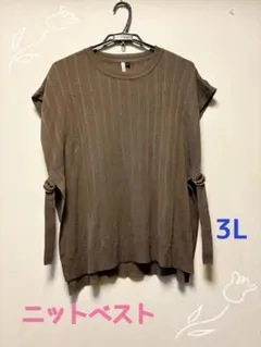 ⭐️土日セール⭐️ レディース　ニットベスト　ブラウン　3L 重ね着　ゆったり