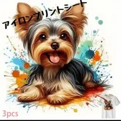 Item thumbnail for item cf5e0390-b726-4fe8-b035-5f15b0d50cb9