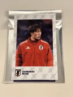 サッカー日本代表SAMURAI BLUE 大迫敬介フレームログ