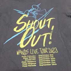 WANDS LIVE TOUR Tシャツ (М)4枚セットとタオル2枚セット WANDS LIVE TOUR Tシャツ (М)4枚セットとタオル2枚セット - メルカリ