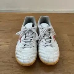 Mizuno Monarcida neo 24cm