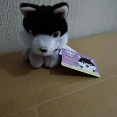 AMUSE オオカミ ぬいぐるみのサムネイル