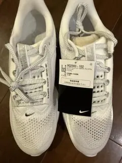 Item thumbnail for item ef6ed422-f27c-49fc-b0c7-f33f528592d1