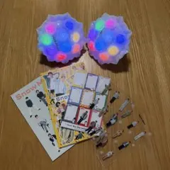 Snow Man 5th Anniversary スノーマンペンライト　2個