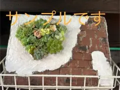 Item thumbnail for item b514248f-3cab-47c1-909d-7ce98e3a18b0