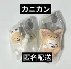 skzoo ガチャ つまつな ジニレット フォクシニー ソコンイェズ