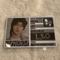 リオ　IDカード　封入　freak alarm ALD1 2