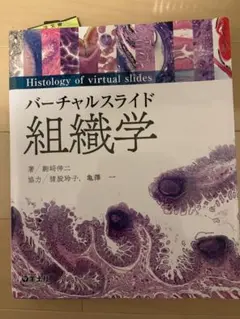 バーチャルスライド 口腔組織学