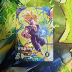 SDVTP-005孫悟飯少年期