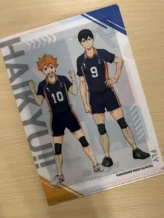 ハイキュー!! 烏野高校 クリアファイル　缶バッジ