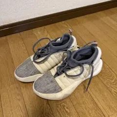 バスケットボールシューズ グレー/ホワイト ハイカットハーデン