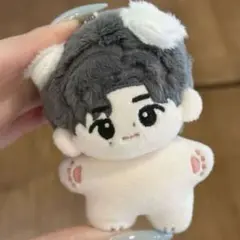 10cm ENHYPEN ソンフン SUNGHOON ぬいぐるみ本体㉙ - メルカリ