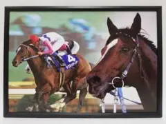 競馬 トウカイテイオー パネル 心に残る名馬