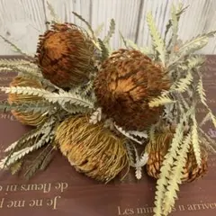 №3 ドライアンドラ フォルモーサ 5本 ネイティブ ブーケ 花材 ドライ