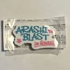 嵐 We are Arashi Blast in Miyagi ガチャガチャ - メルカリ