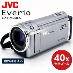 動作品】 JVC EVERIO GZ-HM280 ハンディカム ビデオカメラ - メルカリ