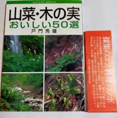 Item thumbnail for item d671d5e4-99e1-445b-aaf4-24f689205c22