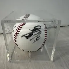 阪神タイガース 矢野燿大氏 サインボール/2003日本シリーズ試合球 阪神タイガース 矢野燿大氏 サインボール/2003日本シリーズ試合球