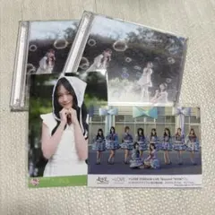 イコラブ　恋はじめました。　野口衣織　封入　typeC ＝LOVE 国立