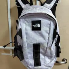 Item thumbnail for item 8145d4d4-7adf-444a-9811-1f808696893f