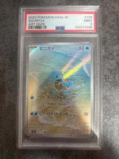ゼニガメ　ar psa9