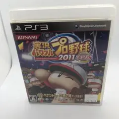 実況パワフルプロ野球2011決定版