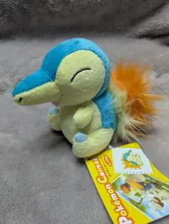 ポケモンセンター限定 ポケモンキャンバス ヒノアラシ ぬいぐるみ