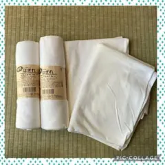 Item thumbnail for item f54bd0e5-3fc0-4c46-a0bc-3f3e7f39b4ba