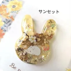 SALE 【夕焼け】レジンヘアゴム ブローチ ペンダント ネコ ねこ - メルカリ