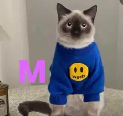 Item thumbnail for item 9b3cbec9-fd72-4aa2-80f8-96753b4d3a61