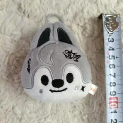 ウルフチャン SKZOO ネームタグ ポップアップ グッズ スキズ バンチャン