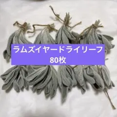 ラムズイヤー　ドライリーフ　素材　花材　葉　葉っぱ 80枚　11番