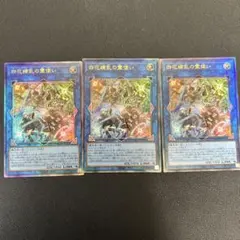 遊戯王　四花繚乱の霊使い　レリーフ3枚