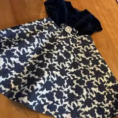 サエグサ