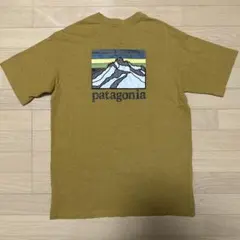patagonia マスタード Tシャツ