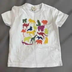 新品　green label relaxing アニマル柄Tシャツ 105cmのサムネイル