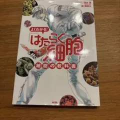 Item thumbnail for item c1db00d3-5a07-44e8-b19b-ad56baae9405