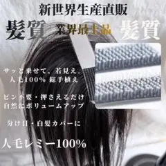 2026新世界　人毛　ウィッグ　フルウィッグ　シルクスキン　シートエクステ