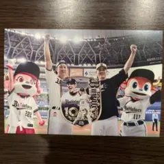 オリックスバファローズ 飲食特典カード