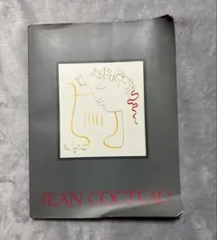 希少】ジャン・コクトー 作品全12点 ケース入 Jean Cocteau - メルカリ