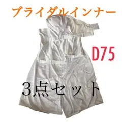 『美品』 ブライダルインナー D75 L 3点セット 結婚式 ドレス用 補正下着