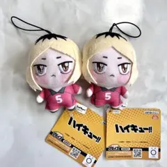 ハイキュー　ちょぴぬいぷち　狐爪研磨2点